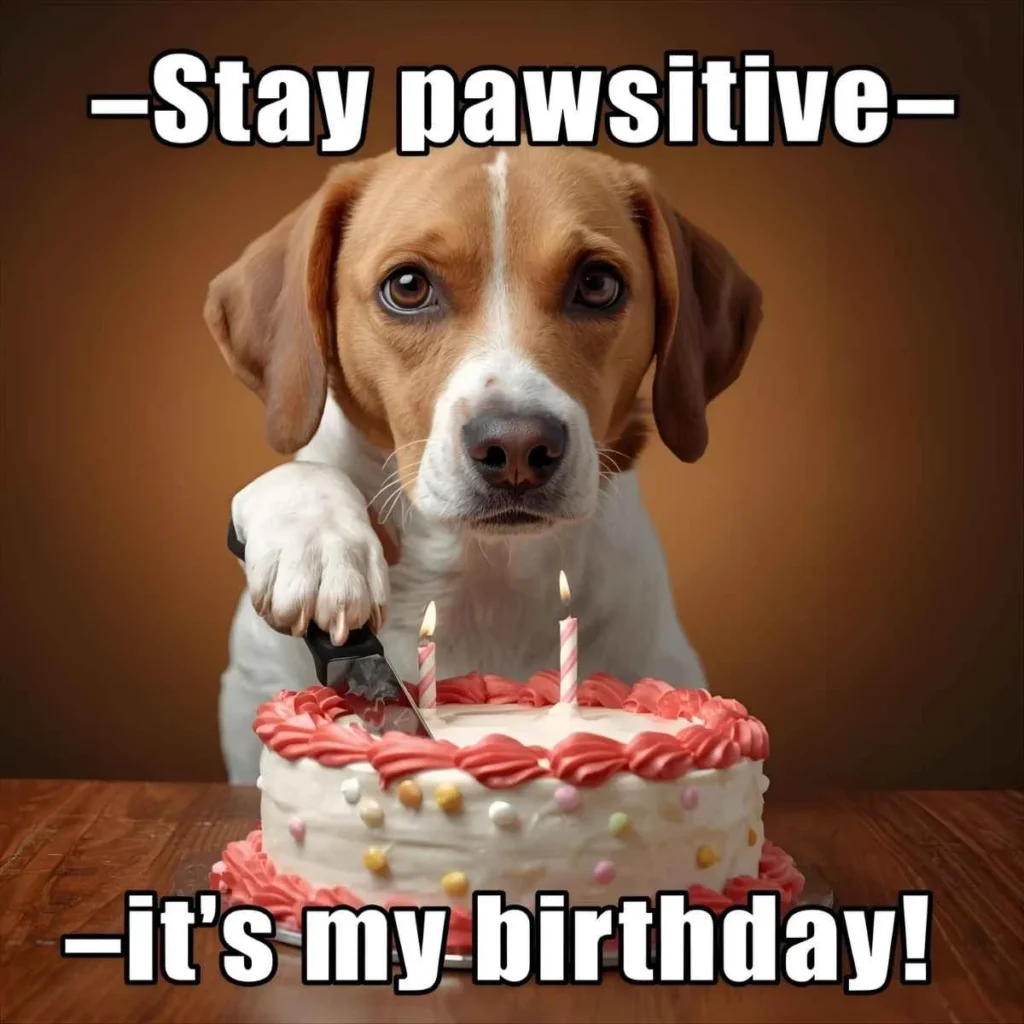 Dog Birthday Puns