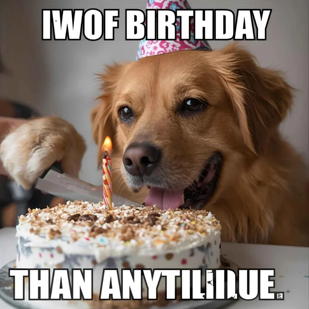Dog Birthday Puns