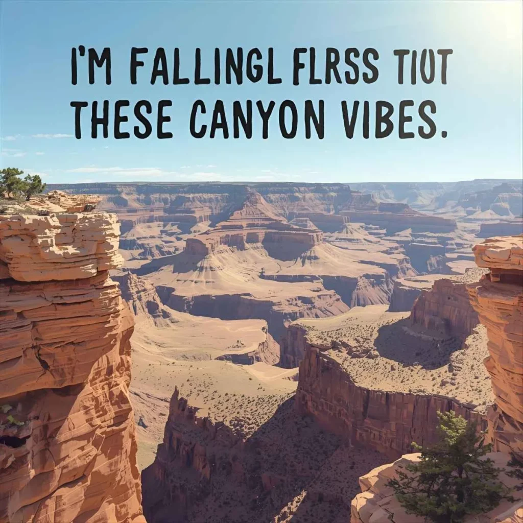 Grand Canyon Puns