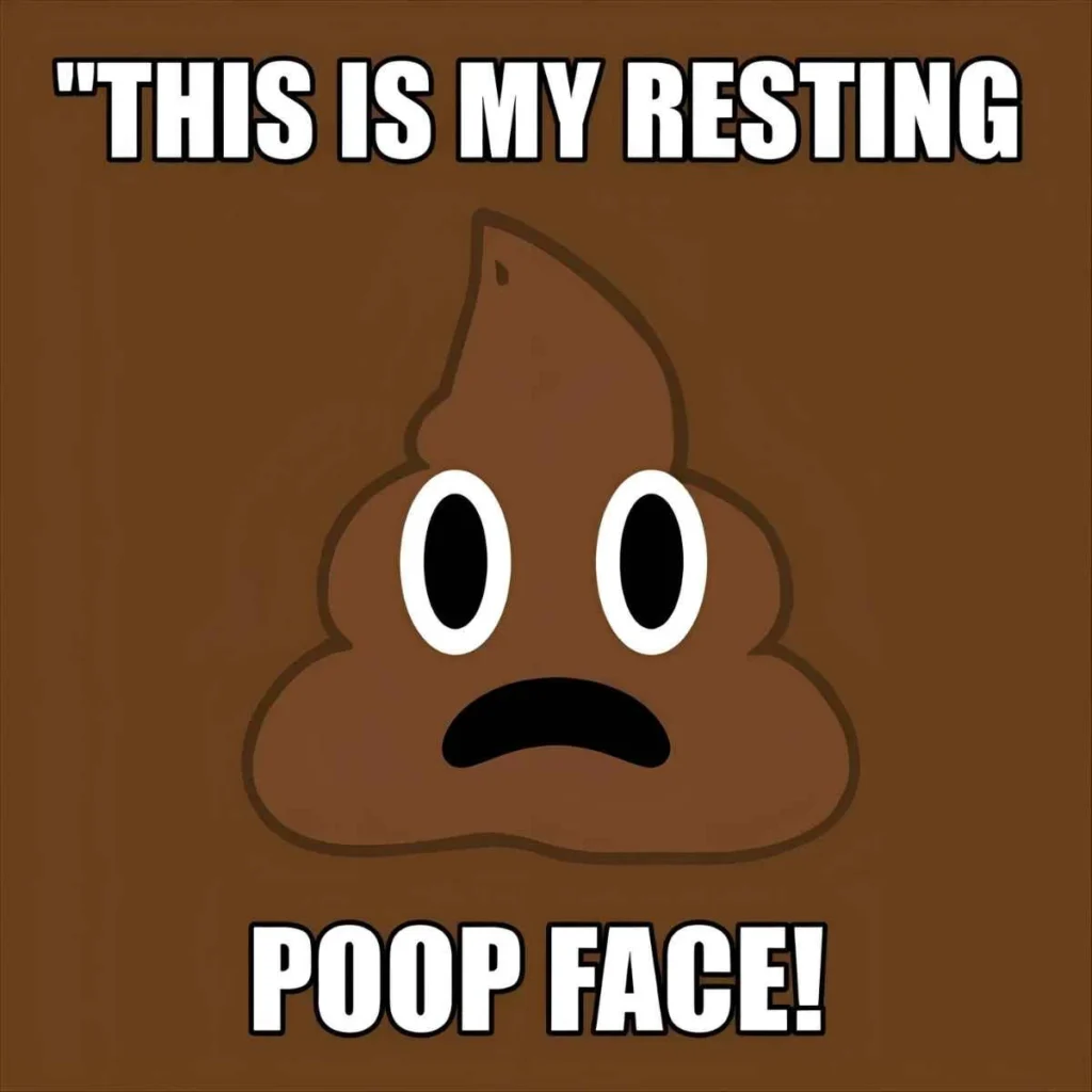 Poop Puns One Liners