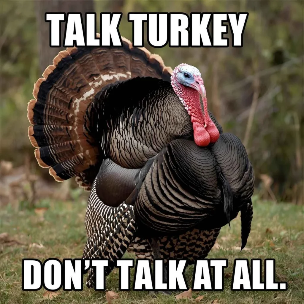 Turkey Puns