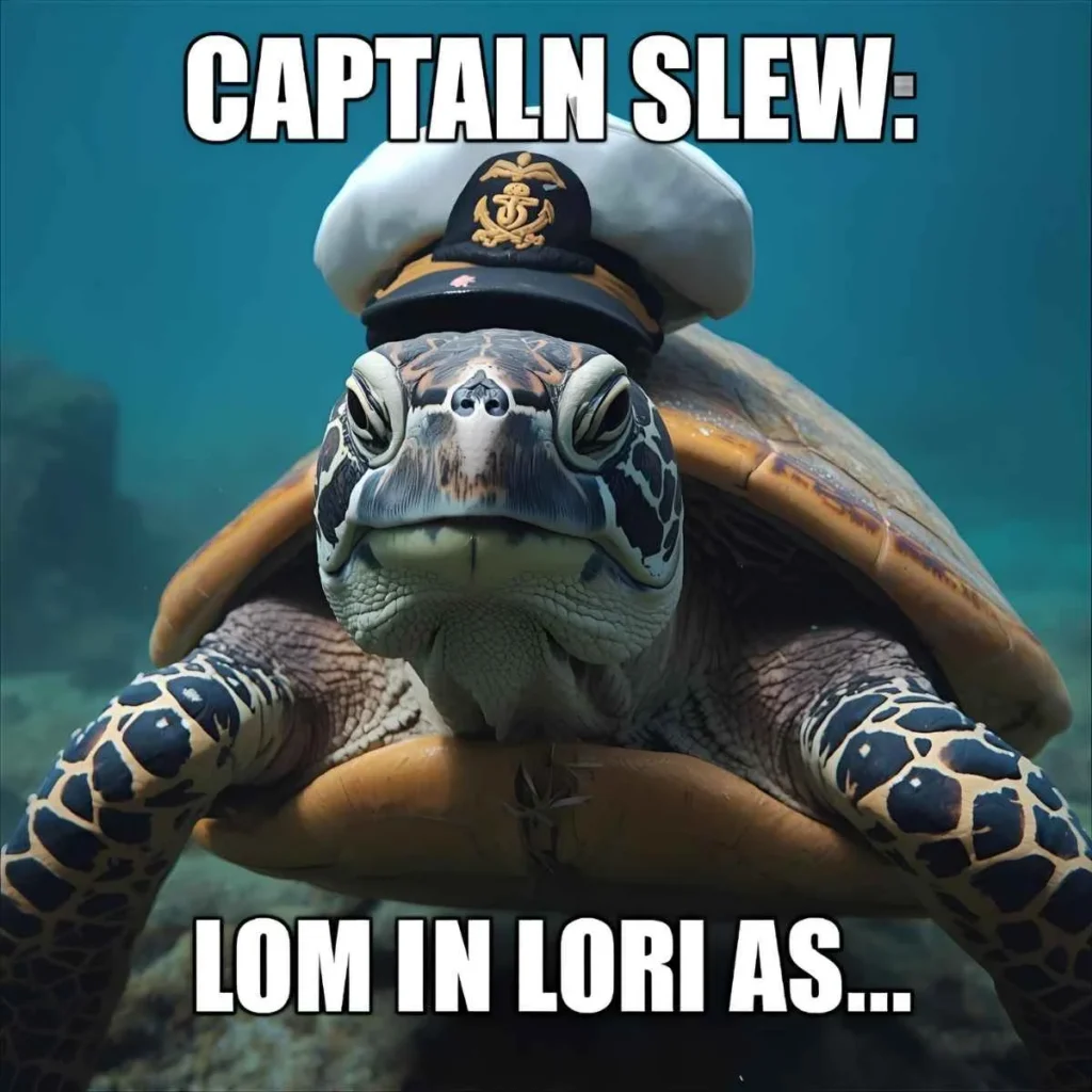 Turtle Puns